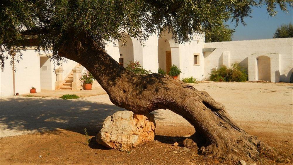 Masseria De Michele Montalbano  Extérieur photo