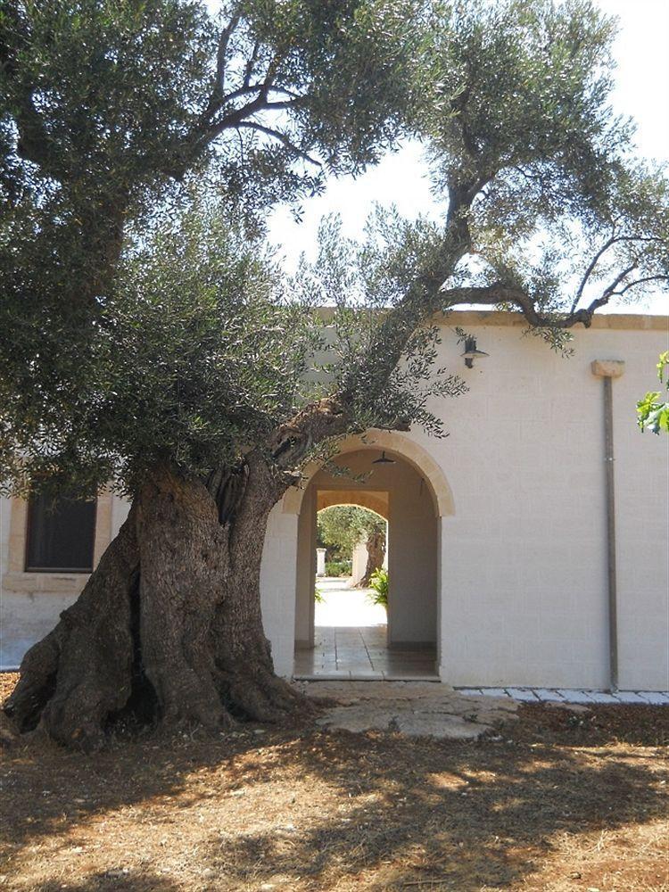 Masseria De Michele Montalbano  Extérieur photo