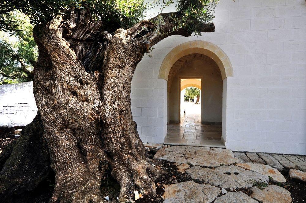 Masseria De Michele Montalbano  Extérieur photo